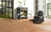 Parador Basic Plus 200 1440984 Бук фото 4 | FLOORDEALER